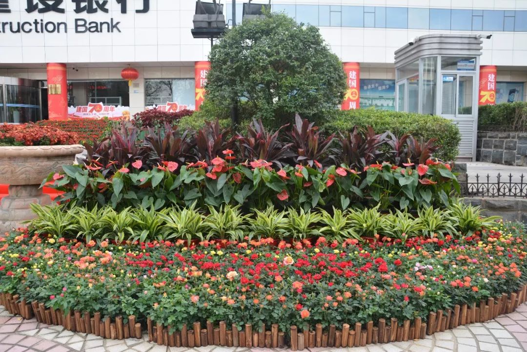 aHR0cHM6Ly9tbWJpei5xbG9nby5jbi9tbWJpel9qcGcvZnBJTHZLemZsZjNwTjlKWnZNRnBOaWM1ekJadzJZdDRsam1iUkNpYjE3b1VTS3ZXa0c4bGtISVNwOUZPdmw0Z2ljSWJEQ0daNWRvekQ5VHVZbmVrS1ZTV0EvNjQw.jpeg undefined