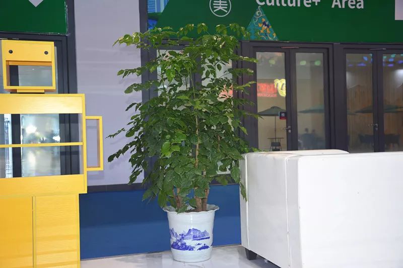 aHR0cHM6Ly9tbWJpei5xbG9nby5jbi9tbWJpel9qcGcvZnBJTHZLemZsZjNwTjlKWnZNRnBOaWM1ekJadzJZdDRsSkFpYlZXWHhGaWN3MlRCd3dnT3psR3NhMmRaNGJKcG1pYVZCMDZKRk9UeEdpYWlhd2Uzdzl3SThKZXcvNjQw.jpeg undefined