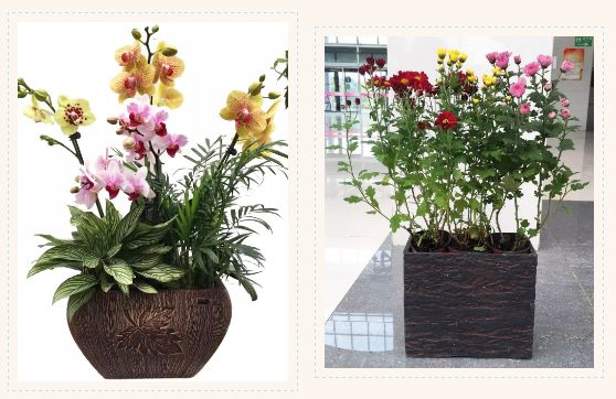 aHR0cHM6Ly9tbWJpei5xbG9nby5jbi9tbWJpel9wbmcvZnBJTHZLemZsZjNwTjlKWnZNRnBOaWM1ekJadzJZdDRsZ3ppY0xIT0E1UGFoVTJpY2ZKY1pVTnBrN2lic0VPRTZSUlNTWFJTNWljY2ljQnF2M0p3dkFxaWIyZE1RLzY0MA==.jpeg undefined