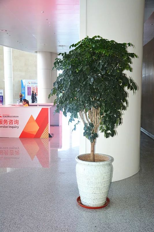 aHR0cHM6Ly9tbWJpei5xbG9nby5jbi9tbWJpel9qcGcvZnBJTHZLemZsZjNwTjlKWnZNRnBOaWM1ekJadzJZdDRsUHZJbjBYd2lhSmxZVXZuaGJYSDdGN1hOd0Fjdk9pY3dpY28yb09TaHlaZFBlSWlhWVpmSTY1c1MwZy82NDA=.jpeg undefined