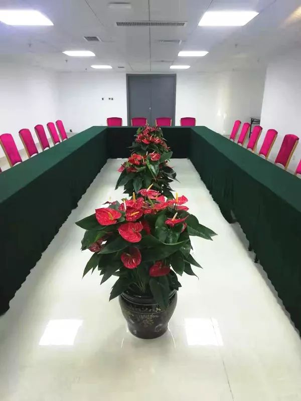 aHR0cHM6Ly9tbWJpei5xbG9nby5jbi9tbWJpel9qcGcvZnBJTHZLemZsZjNwTjlKWnZNRnBOaWM1ekJadzJZdDRsQ3R3UTBZOHRXYTVzYTd1MmlhQWF0QUpITDlsSk5DQzUzMWgxQ2RQODVKTzhpYTE3UjdUb0xxbGcvNjQw.jpeg undefined