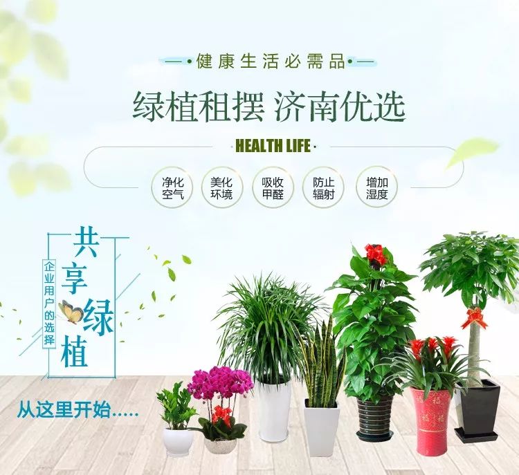 aHR0cHM6Ly9tbWJpei5xbG9nby5jbi9tbWJpel9qcGcvZnBJTHZLemZsZjNwTjlKWnZNRnBOaWM1ekJadzJZdDRsZVkwQk0xSnhqMXFpYVdNRkg2b2lhU2huaWNYUlV1VWNad1c0Vk5IT3l3elZrN0hUMU5pY0NlU2t0Zy82NDA=.jpeg undefined