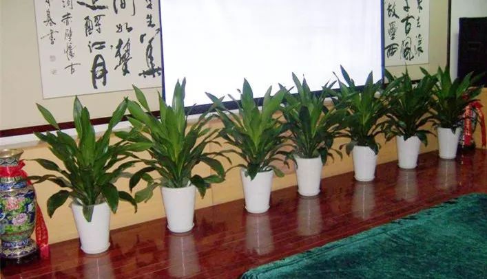 aHR0cHM6Ly9tbWJpei5xbG9nby5jbi9tbWJpel9qcGcvZnBJTHZLemZsZjNwTjlKWnZNRnBOaWM1ekJadzJZdDRsc3ViQlladmRIT3JpY3Z5SHNnTFNLTmhuaWFISHVjY2liaWN5RVBoOUE3NEl1SGljSm5ibzM1MFBmWHcvNjQw.jpeg undefined